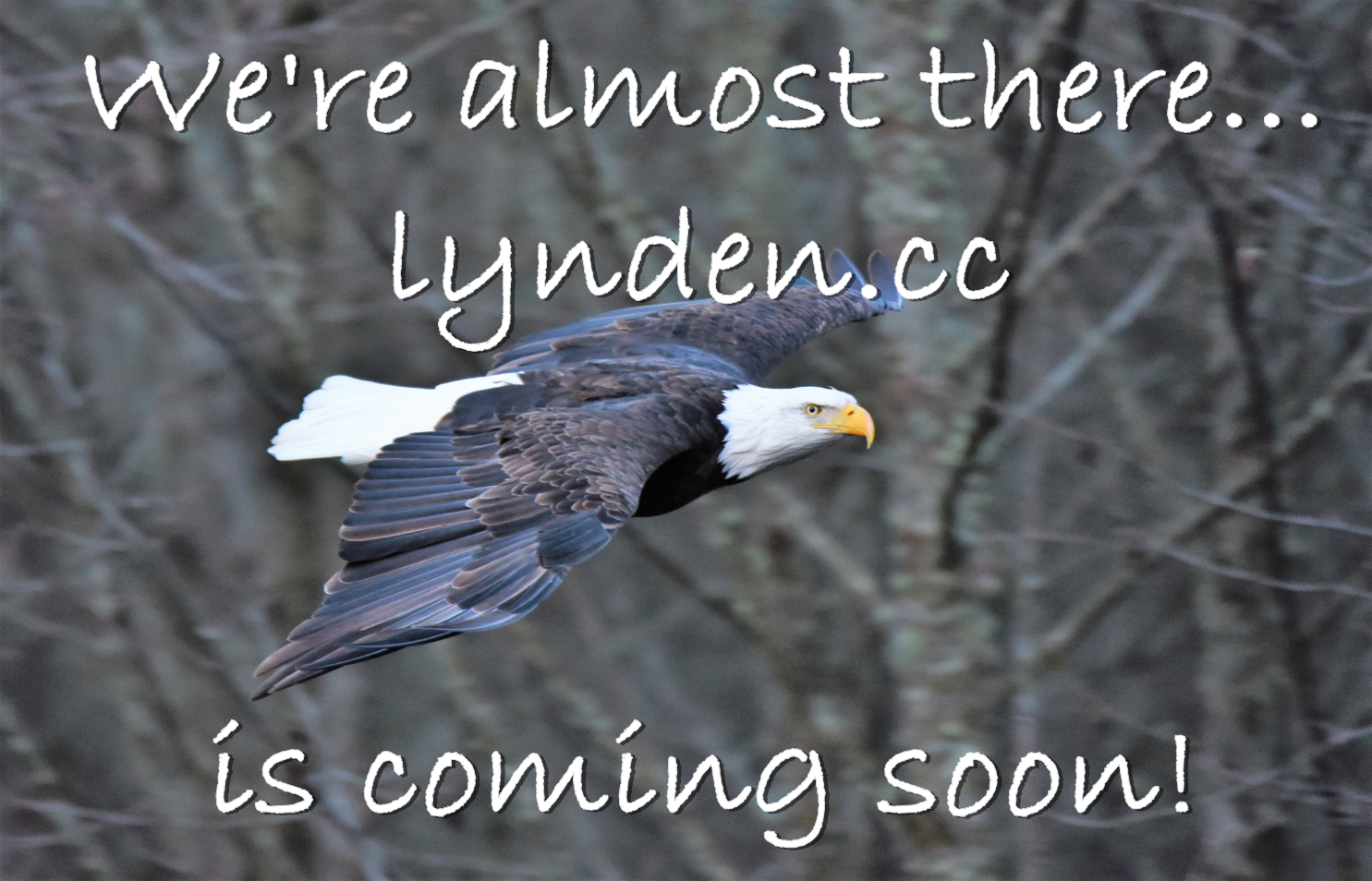 Coming Soon!
